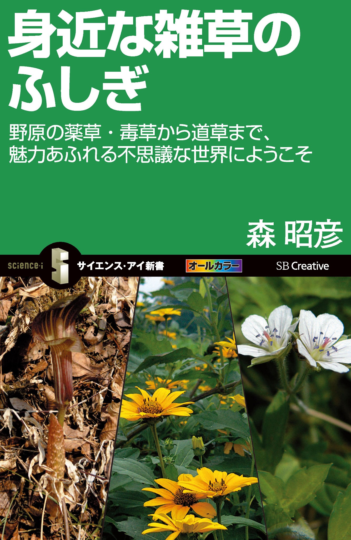 うまい雑草、ヤバイ野草 日本人が食べてきた薬草・山菜・猛毒草 魅惑的