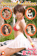 菜乃花SpecialEdition