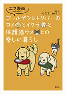 エフ漫画　ゴールデンレトリバーのコメとイクラと保護猫ウメとの楽しい暮らし