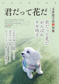 全国川柳作家集　君だって花だ