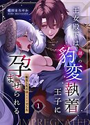 王女殿下は謎の豹変執着王子に孕ませられる【分冊版】  （１）  ～転生したのは×××でした～