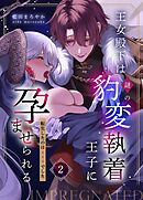 王女殿下は謎の豹変執着王子に孕ませられる【分冊版】  （２）  ～転生したのは×××でした～