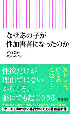 なぜあの子が性加害者になったのか
