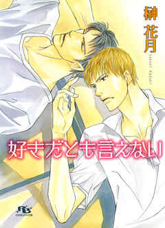 好きだとも言えない