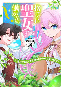 捨てられ聖女は働かないっ！　～追放されたので念願のスローライフはじめます～　分冊版（３）