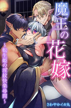 魔王の花嫁～転生姫の淫紋快楽尋問～