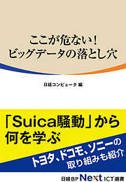 ここが危ない！　ビッグデータの落とし穴（日経BP Next ICT選書）