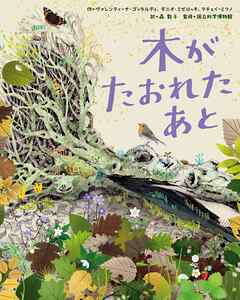 木がたおれたあと