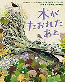 木がたおれたあと