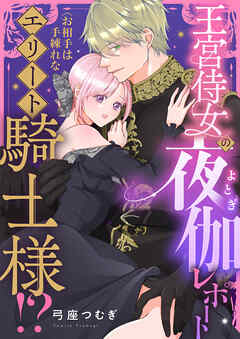 王宮侍女の夜伽レポート ～お相手は手練れなエリート騎士様！？～(2)