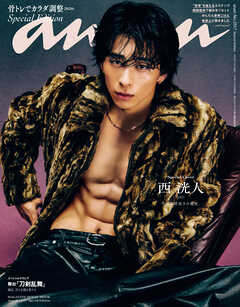 anan No.2517 Special Edition
