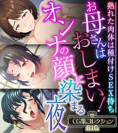 お母さんはおしまい！オンナの顔に染まる夜 ～熟れた肉体は種付けSEX待ち～【CG集コレクションBIG】