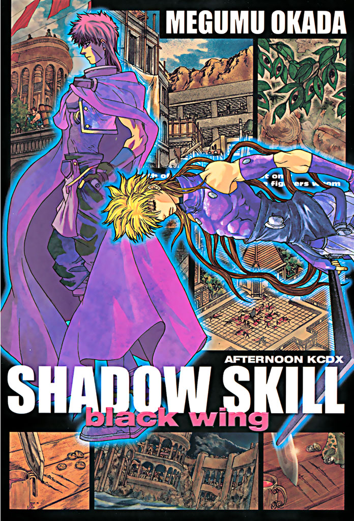 日本未発売DVD「影技 SHADOW SKILL」全26話収録 岡田芽武 - アニメ