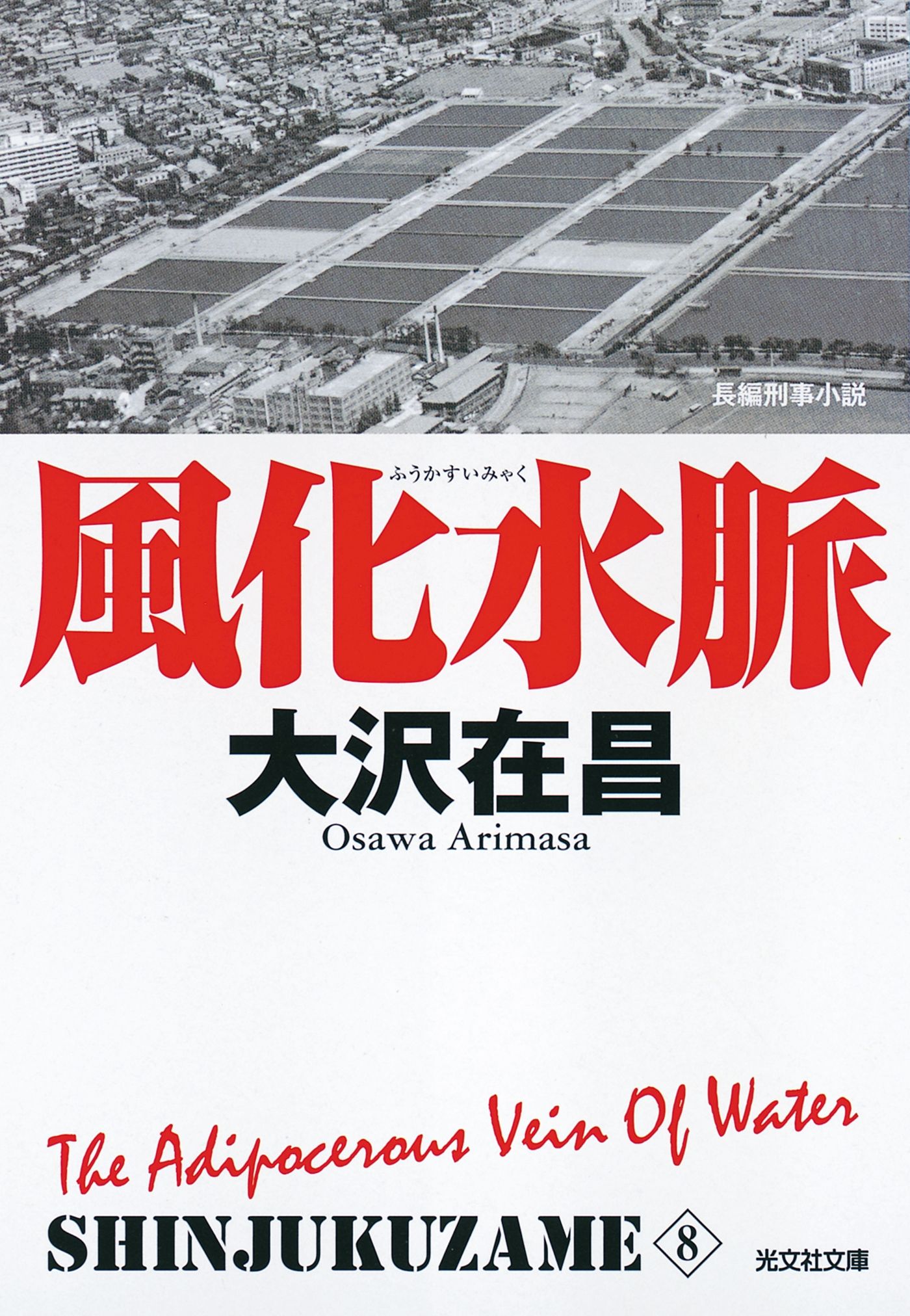 風化水脈 新宿鮫８ 新装版 漫画 無料試し読みなら 電子書籍ストア ブックライブ