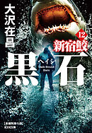 黒石（ヘイシ）　新宿鮫12
