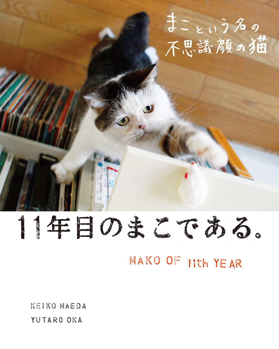 まこという名の不思議顔の猫 11年目のまこである 最新刊 漫画 無料試し読みなら 電子書籍ストア ブックライブ