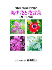 四枚組写真構成で見る誕生花と花言葉４～５月編