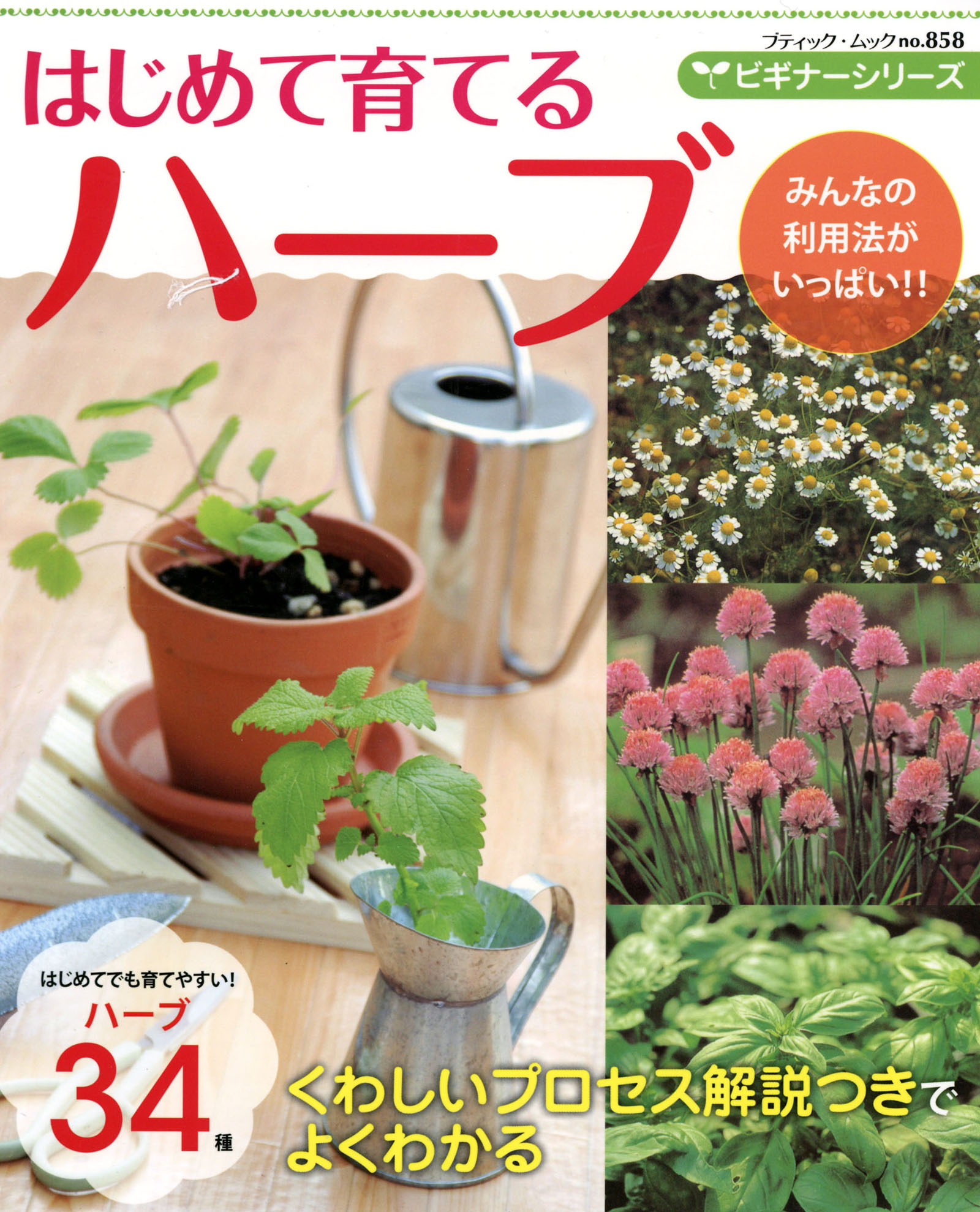 ビギナーシリーズ はじめて育てるハーブ - ブティック社編集部 - ビジネス・実用書・無料試し読みなら、電子書籍・コミックストア ブックライブ