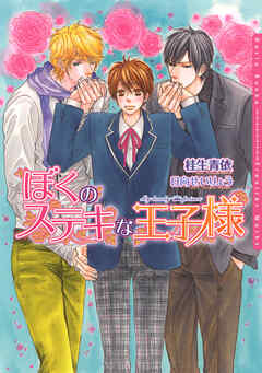 ぼくのステキな王子様
