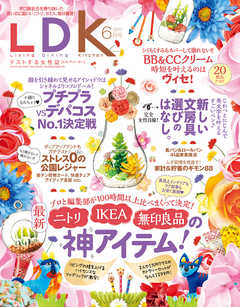 LDK 2017年6月号
