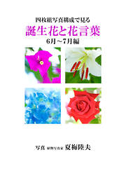 四枚組写真構成で見る誕生花と花言葉６～７月編
