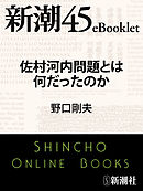 佐村河内問題とは何だったのか