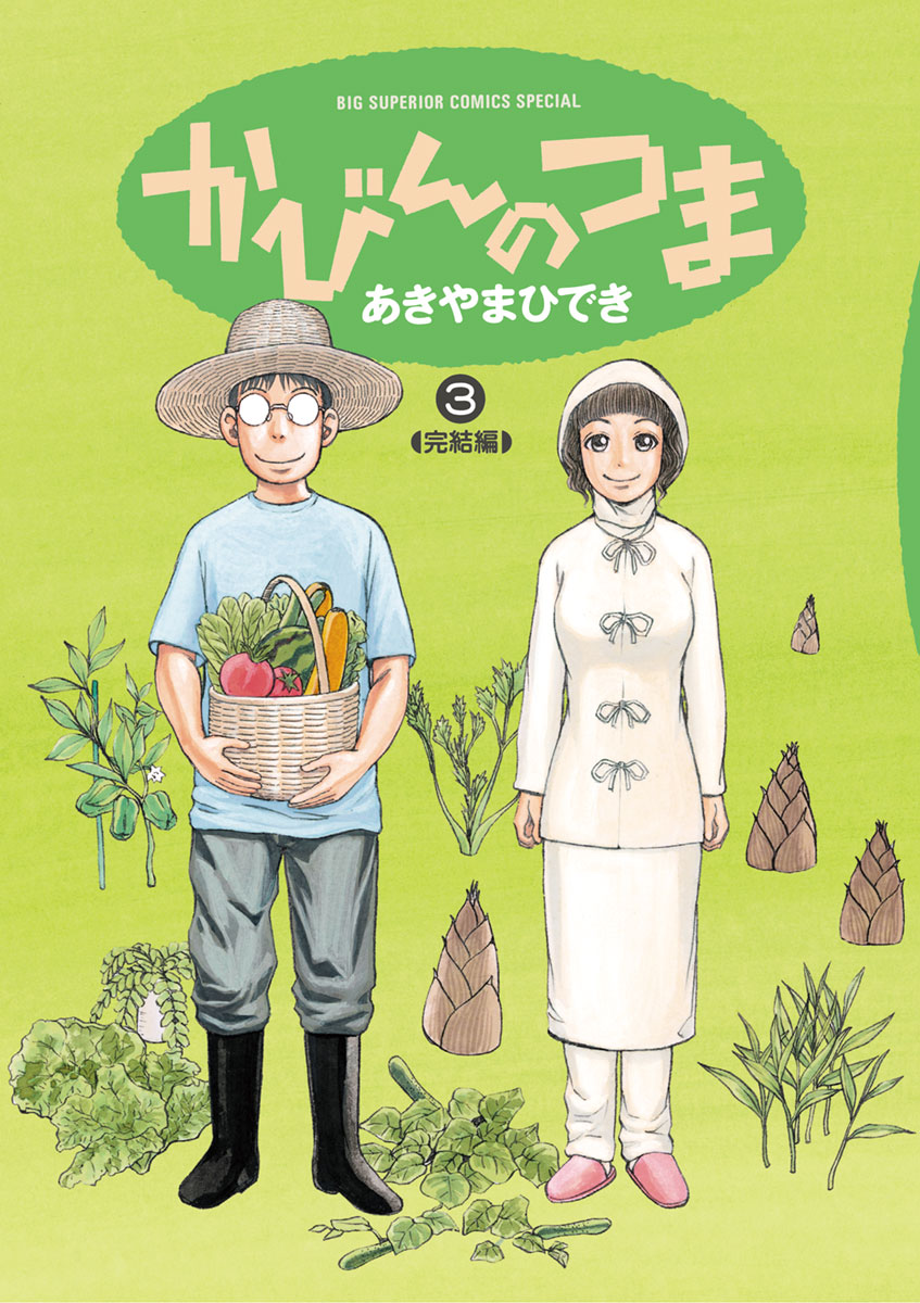 かびんのつま ３ 最新刊 あきやまひでき 漫画 無料試し読みなら 電子書籍ストア ブックライブ