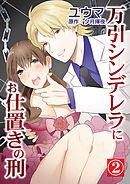 万引シンデレラにお仕置きの刑 2巻