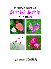四枚組写真構成で見る誕生花と花言葉８～９月編