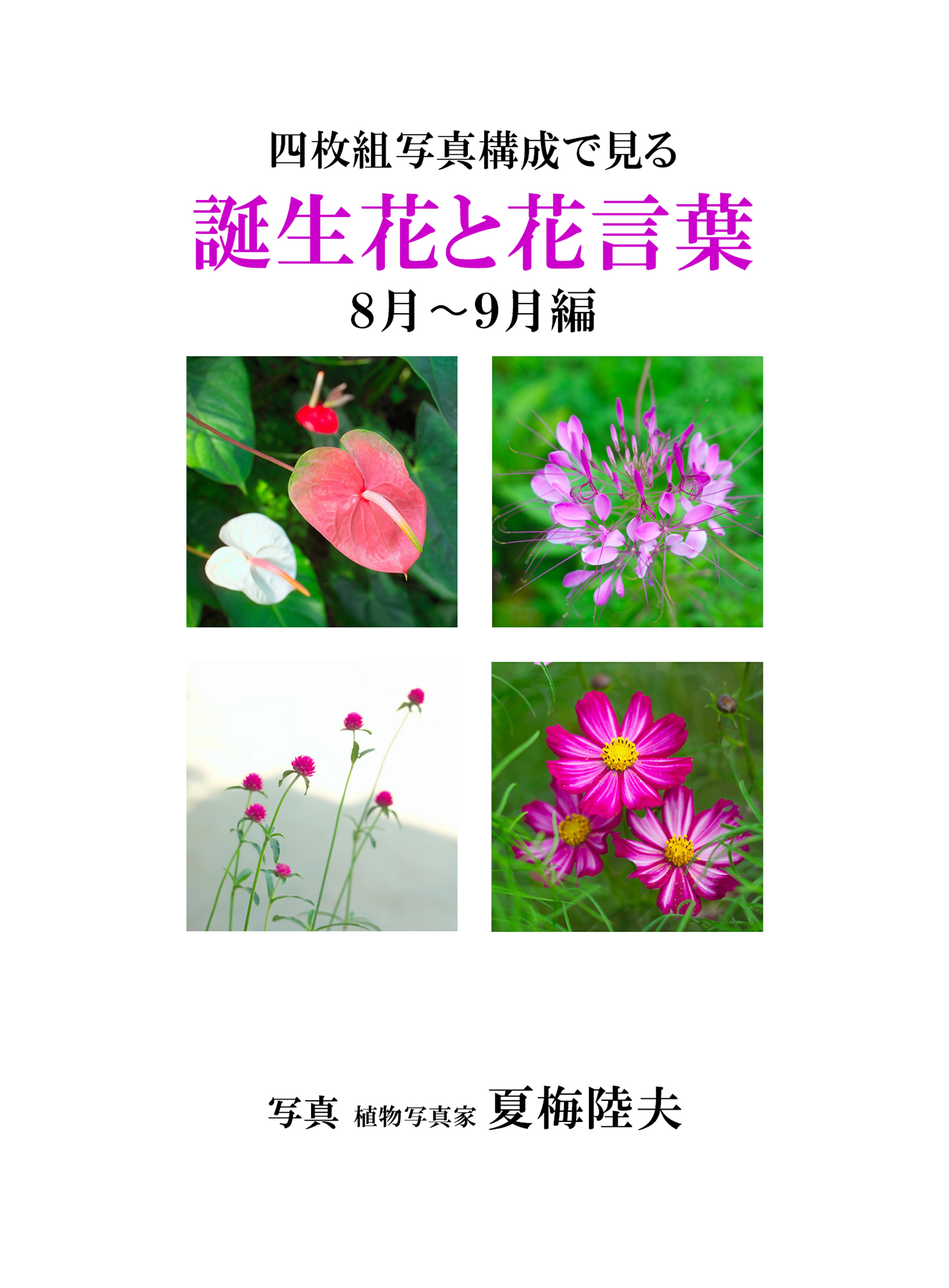 四枚組写真構成で見る誕生花と花言葉８ ９月編 漫画 無料試し読みなら 電子書籍ストア ブックライブ