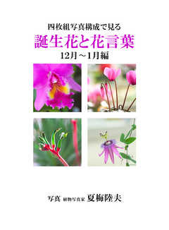 四枚組写真構成で見る誕生花と花言葉１２～１月編