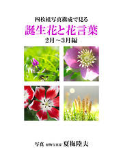 四枚組写真構成で見る誕生花と花言葉２～３月編