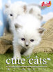 cute cats10 バーマン