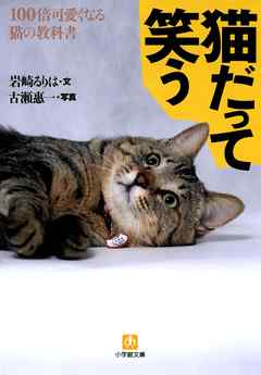 猫だって笑う100倍可愛くなる猫の教科書（小学館文庫）