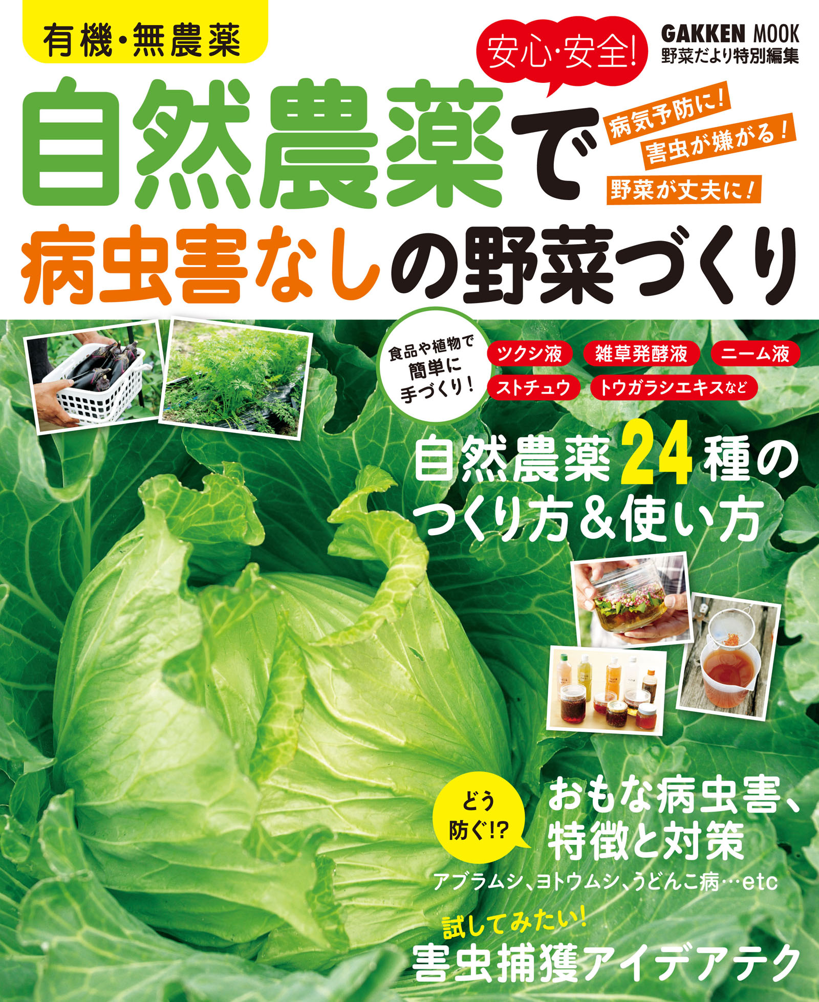 家庭菜園の新・病害虫対策 化学肥料や農薬に頼らない野菜づくり