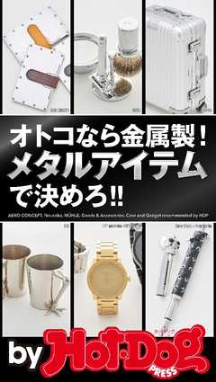 バイホットドッグプレス オトコなら金属製！　メタルアイテムで決めろ！！ 2017年9/8号