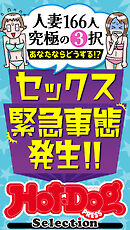 ホットドッグプレスセレクション　セックス緊急事態発生！！　「大人のセックス白書」シリーズ　ｎｏ．４９６