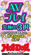 ホットドッグプレスセレクション　ＡＶプレイ究極の３択　「大人のセックス白書」シリーズ　ｎｏ．５３７
