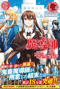 魔導師は平凡を望む　１０