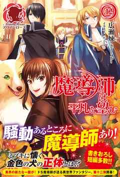 魔導師は平凡を望む　１２