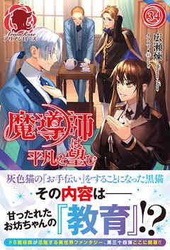 魔導師は平凡を望む 30巻セット 魔導師は平凡を望む 30 ｜ 女性向けライト文芸レーベル