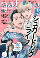 gateau (ガトー) 2024年10月号[雑誌] ver.A