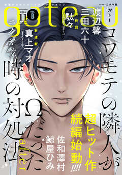 gateau (ガトー) 2026年11月号[雑誌] ver.B