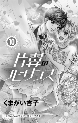 片翼のラビリンス １０ 最新刊 漫画 無料試し読みなら 電子書籍ストア ブックライブ