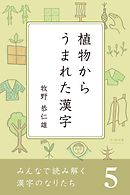 みんなで読み解く漢字のなりたち５　植物からうまれた漢字