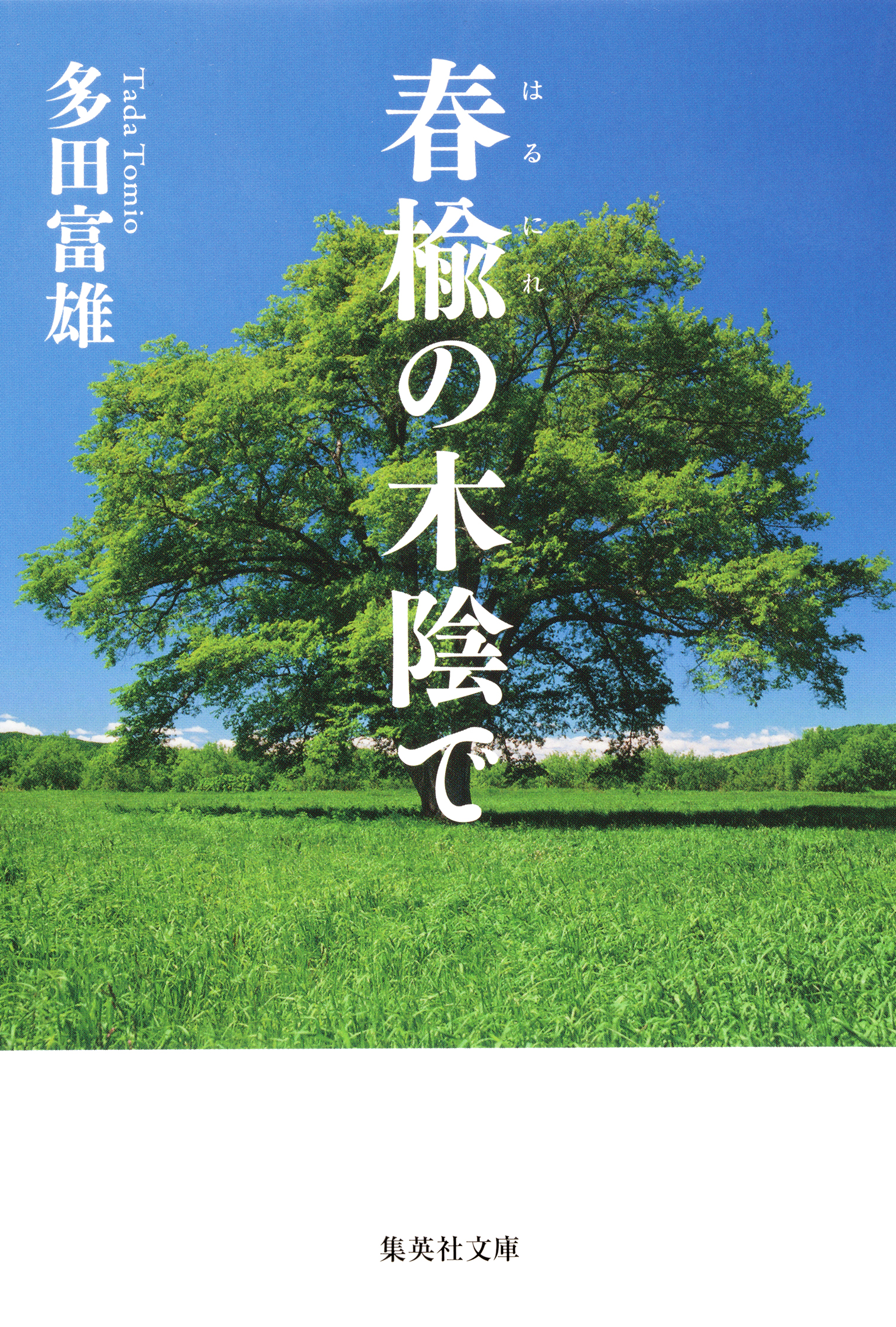 春楡の木陰で 多田富雄 漫画 無料試し読みなら 電子書籍ストア ブックライブ