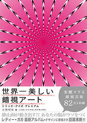 世界一美しい錯視アート トリック・アイズプレミアム