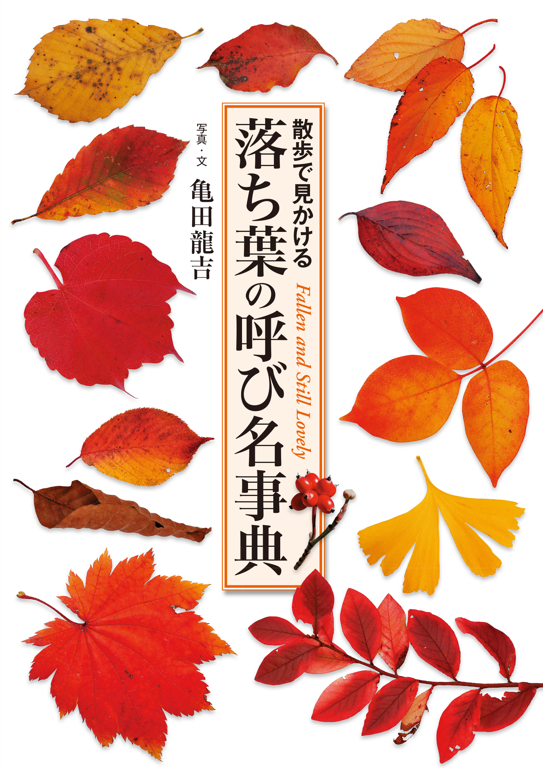 ブックライブ　落ち葉の呼び名事典　漫画・無料試し読みなら、電子書籍ストア　散歩で見かける　亀田龍吉