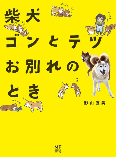 柴犬ゴンとテツお別れのとき - 影山直美 - 漫画・無料試し読みなら