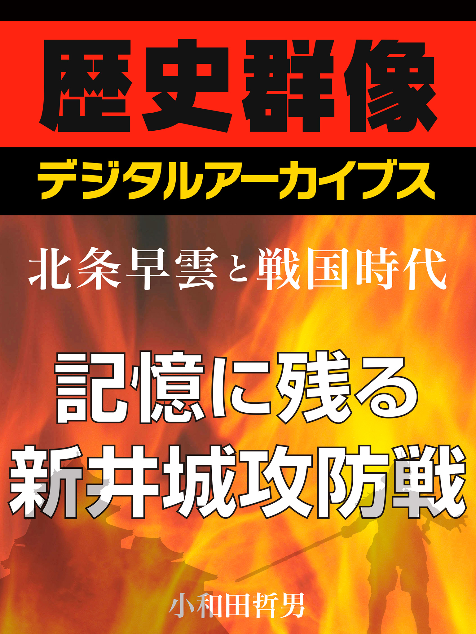 北条早雲と戦国時代 記憶に残る 新井城攻防戦 漫画 無料試し読みなら 電子書籍ストア ブックライブ